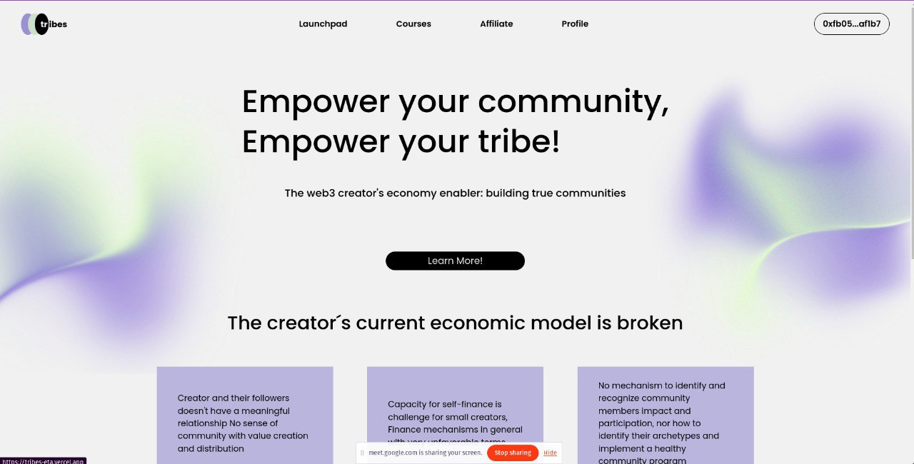 Tribes: Building and Sharing Value